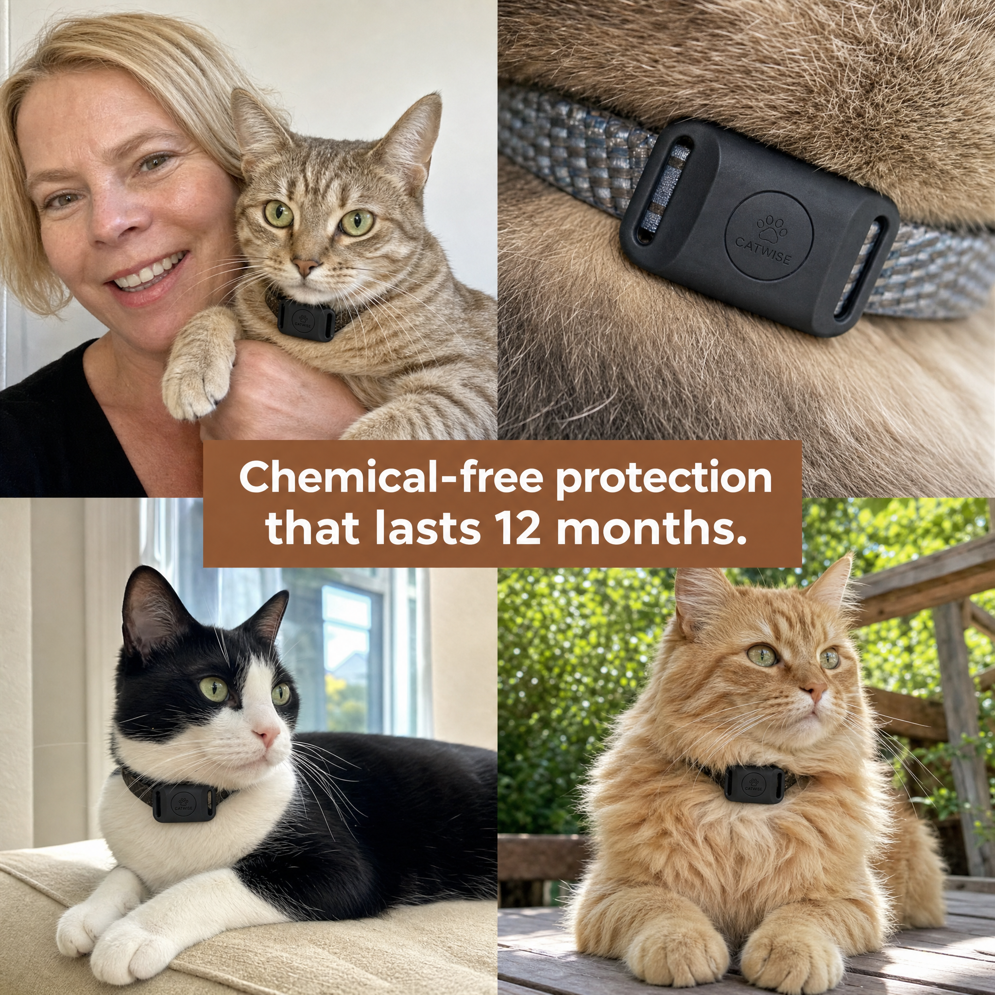 Flea and Tick Free
