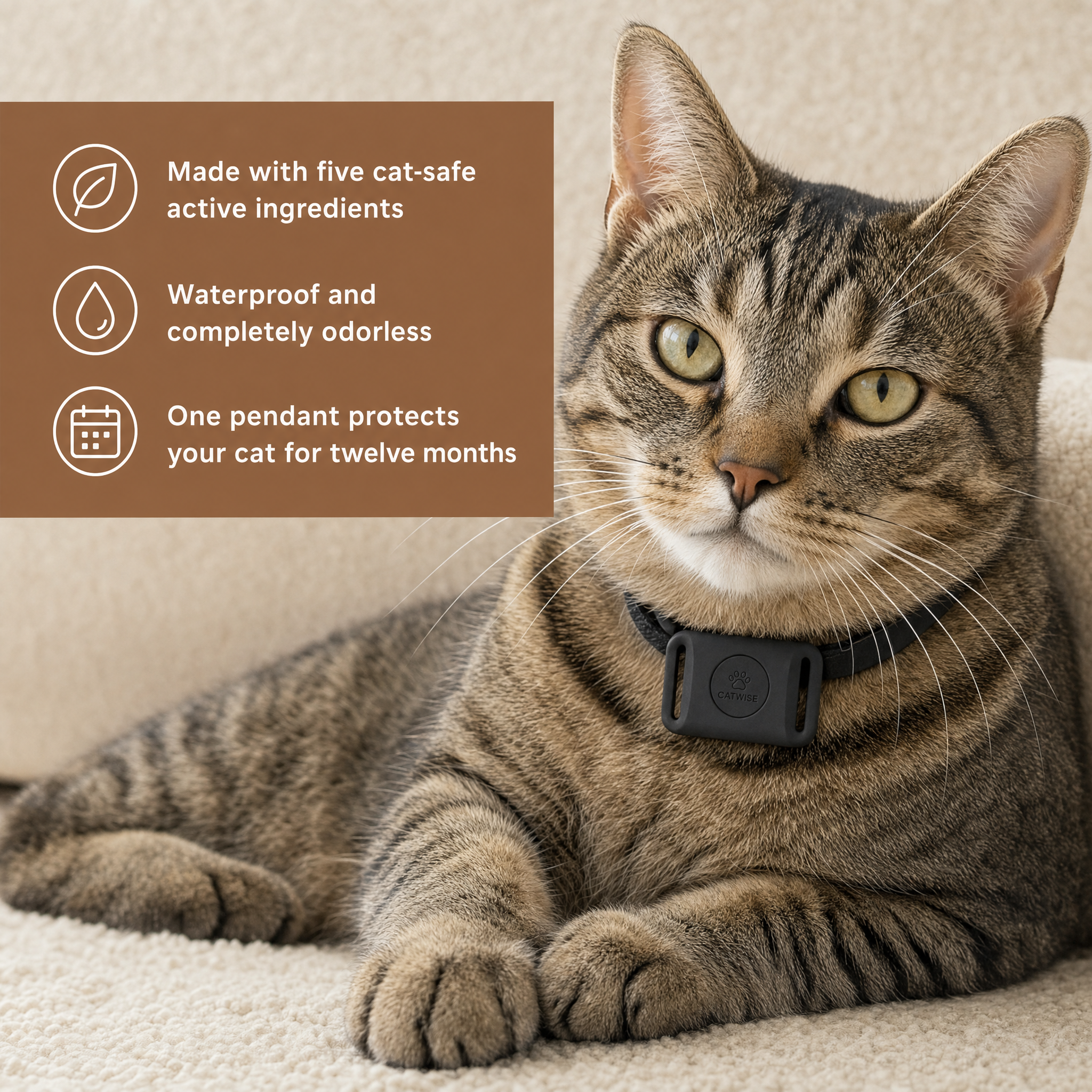 Flea and Tick Free